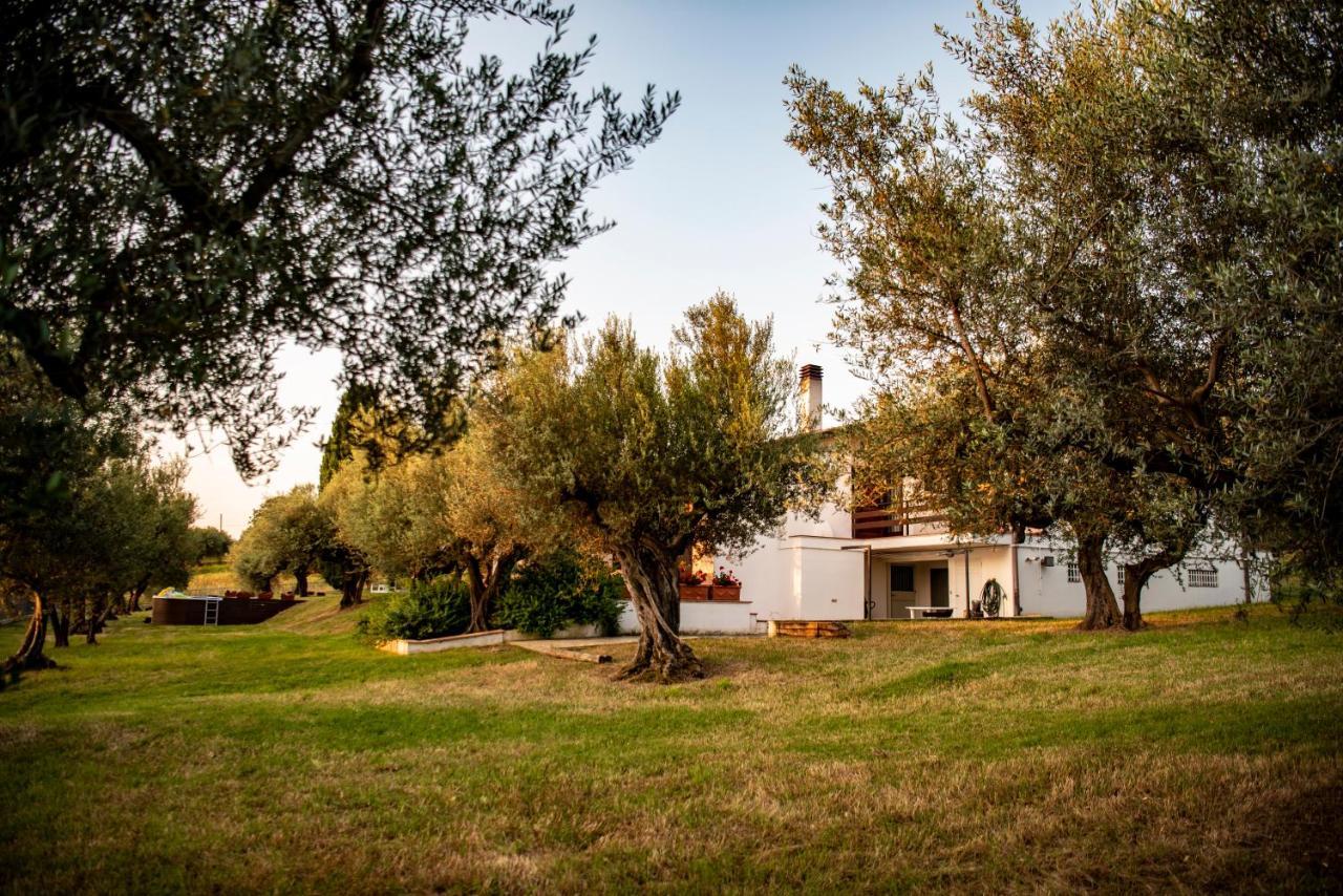 Villa Ninetta *