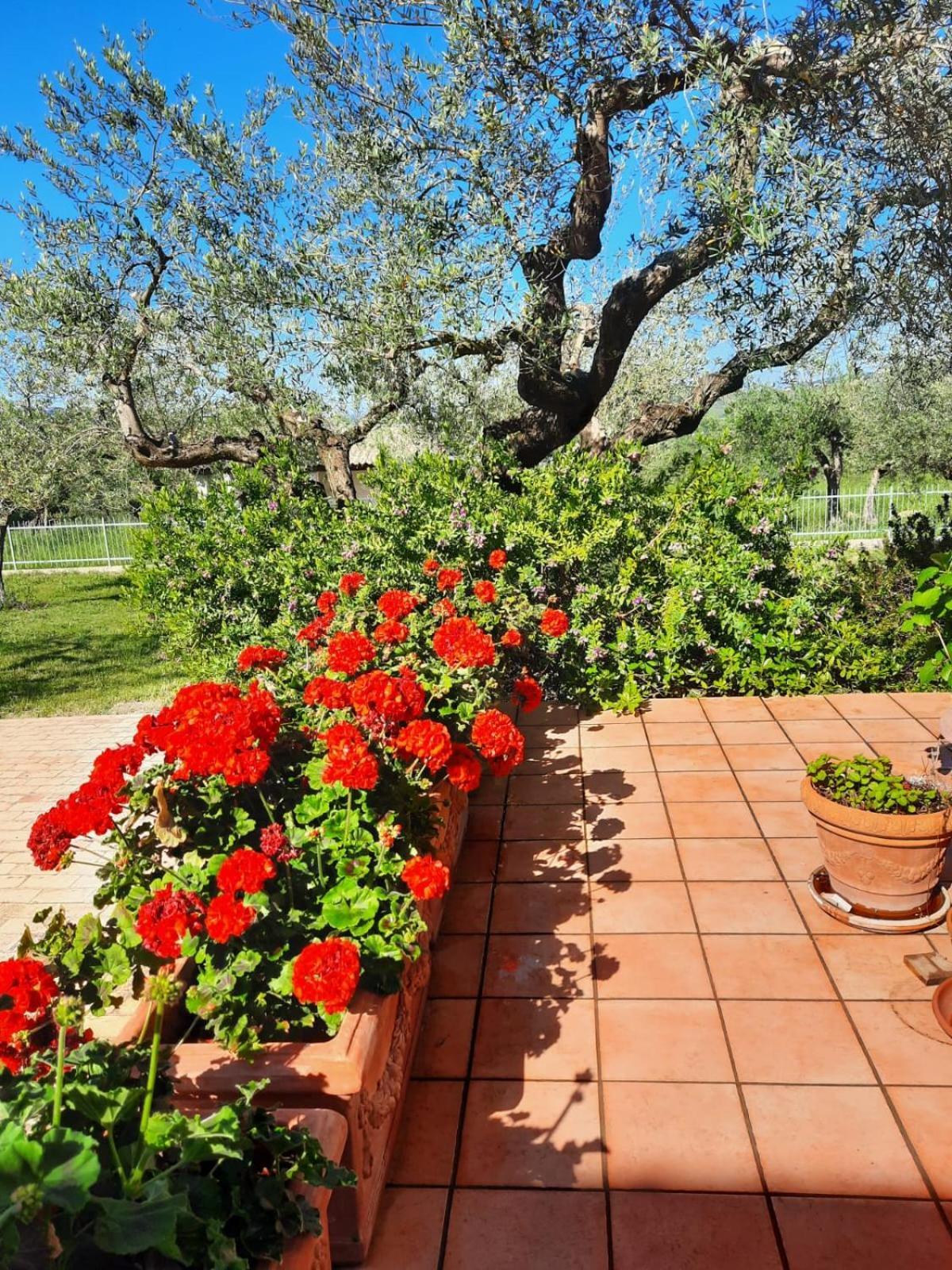 Villa Ninetta *